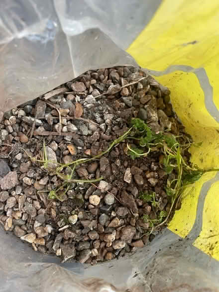 Photo of free Mixed gravel/soil (Peckham) #2