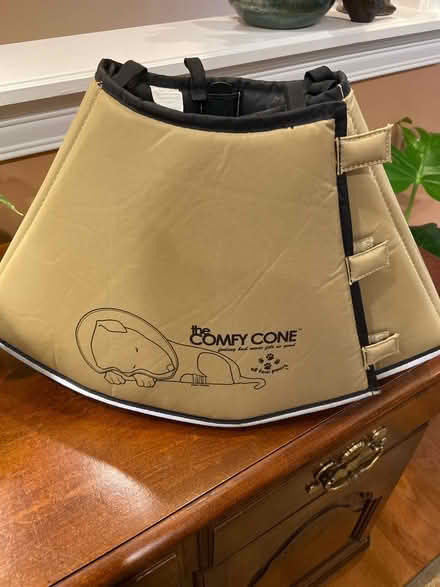 Photo of free Soft surgical cone for dogs (Mason) #1