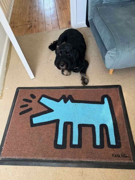 Photo of free Doormat (Stroud Green N4) #1