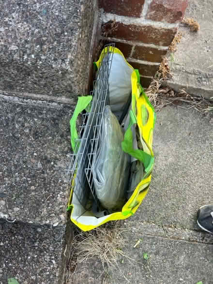 Photo of free Small Greenhouse (Tent) (Frecheville S12) #1