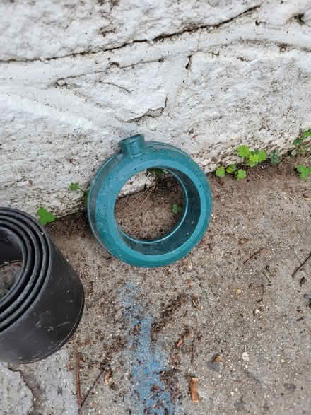 Photo of free Watering ring (20011) #1
