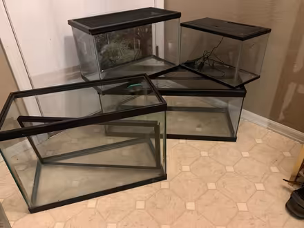 Photo of free Reptile/Amphibian supplies + tanks (NE Longmont) #1