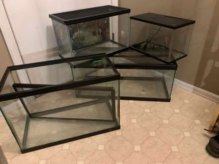 Photo of free Reptile/Amphibian supplies + tanks (NE Longmont) #1