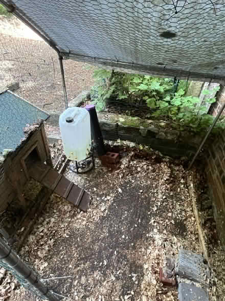 Photo of free Chicken coop (Prestwich M25) #2