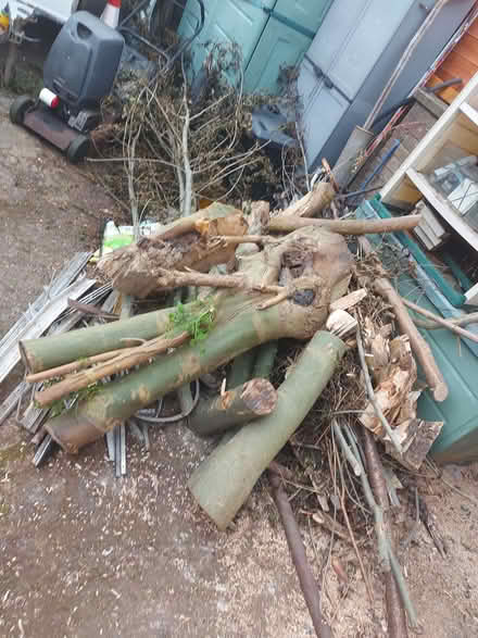 Photo of free Tree Wood for burning (Guide Bridge OL7) #2