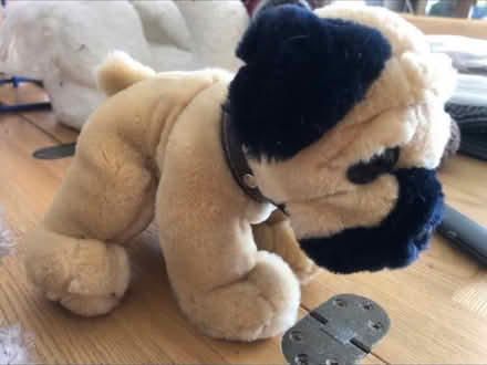 Photo of free Cute soft toys x 2 (Cheshunt En8) #2