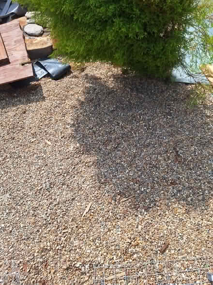 Photo of free Pea shingle 10mm (Southborough TN4) #1