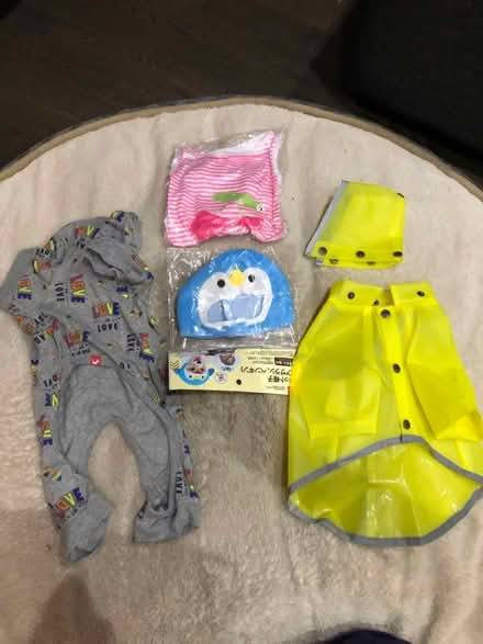 Photo of free Small Dog clothing (North York) #1
