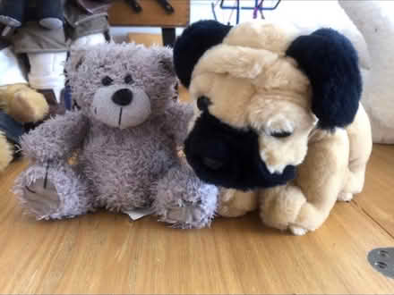 Photo of free Cute soft toys x 2 (Cheshunt En8) #1