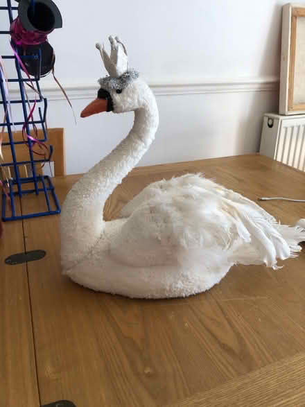 Photo of free Large White Swan (Cheshunt En8) #1