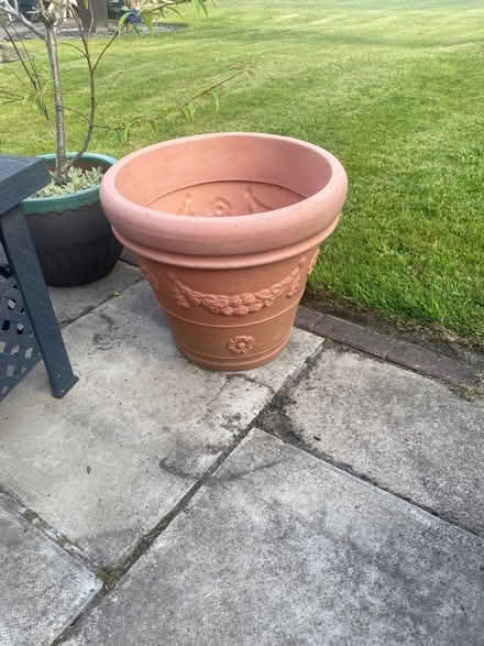 Photo of free Flower Pot (Findern DE65) #1