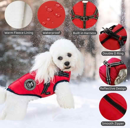 Photo of free Dog coat (Rayleigh SS6) #4