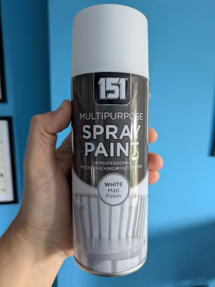 Photo of free White spray paint can (Glasgow G44) #1