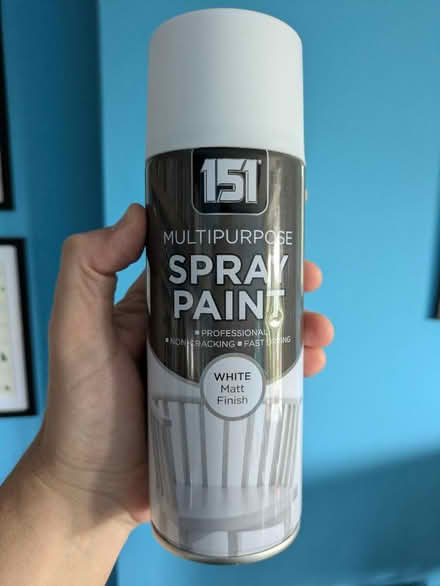 Photo of free White spray paint can (Glasgow G44) #1