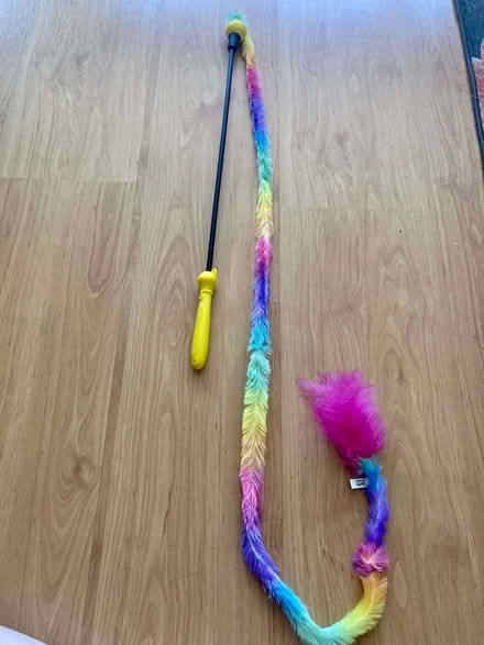 Photo of free 2 cat toys (North Road N7) #3