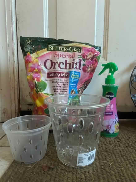 Photo of free Orchid supplies, clock (Palmyra) #1