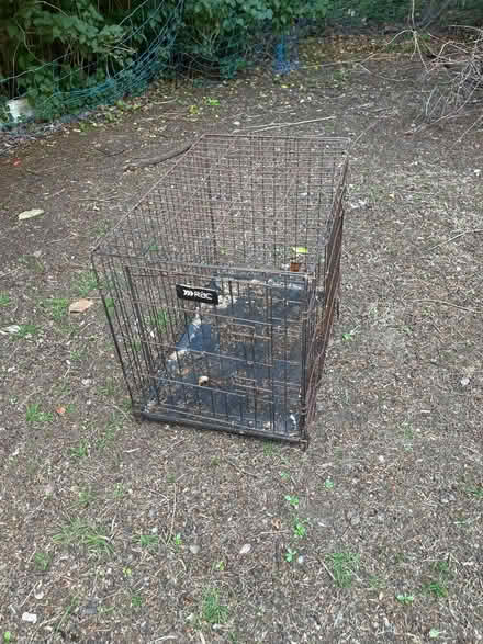Photo of free Large cage (Prestwich M25) #1