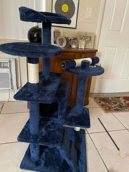 Photo of free NEW Kitty Tower (Hallandale Beach Blvd and US1) #1