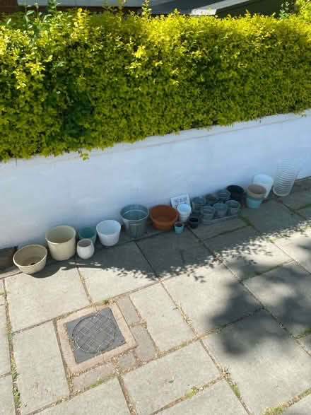 Photo of free Plant pots (Herne Hill, SE24) #1