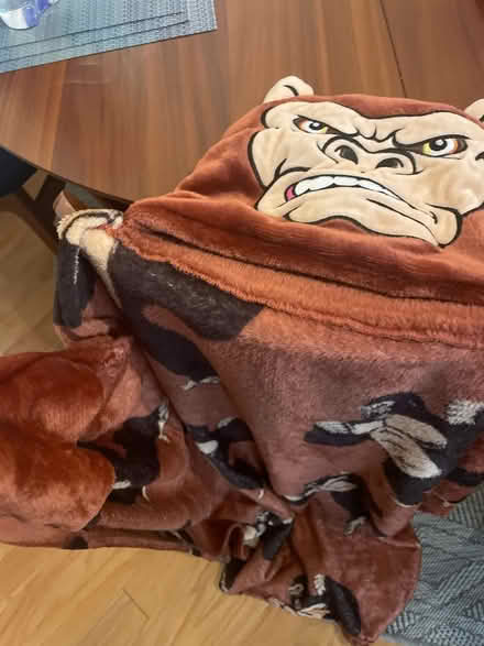 Photo of free Gorilla hoodie blanket for ~6-8 yo (NW DC) #1
