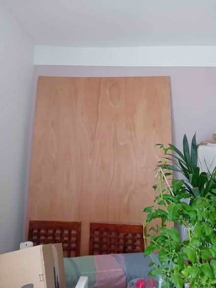 Photo of free Plywood sheet (Olive Mount L15) #1