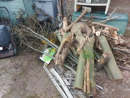 Photo of free Tree Wood for burning (Guide Bridge OL7) #1