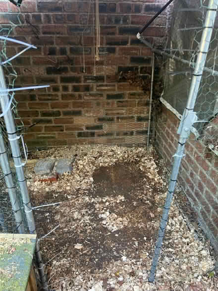 Photo of free Chicken coop (Prestwich M25) #4