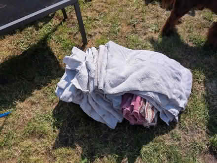 Photo of free Towels ( black bag full) (Great Yarmouth NR30) #1