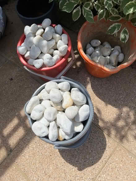 Photo of free Garden stones (Aldwick. Bognor Regis) #3