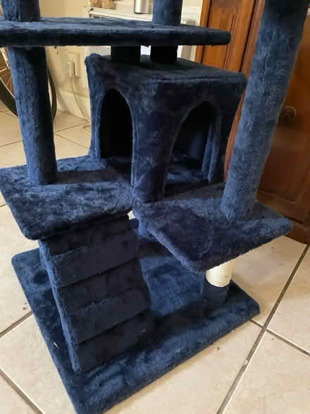 Photo of free NEW Kitty Tower (Hallandale Beach Blvd and US1) #3