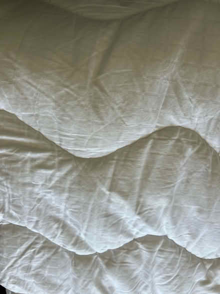 Photo of free Duvet (Muswell Hill N10) #3
