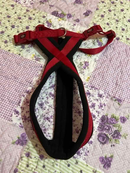 Photo of free Dog harness for medium/ large dog (Whitton TW3) #1