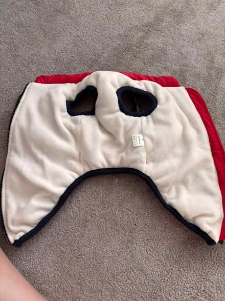 Photo of free Dog coat (Rayleigh SS6) #2
