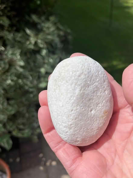 Photo of free Garden stones (Aldwick. Bognor Regis) #1
