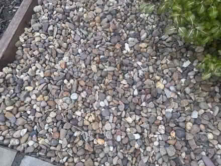 Photo of free Garden gravel (Chesterfield) #1