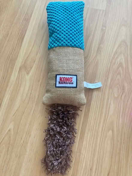 Photo of free 2 cat toys (North Road N7) #2