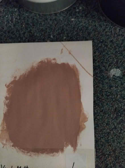 Photo of free Earthy 5 litre paint (EH89UL) #1