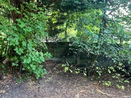 Photo of free 50m long 1.2m high electric fence (Prestwich M25) #4