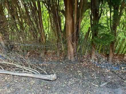 Photo of free 50m long 1.2m high electric fence (Prestwich M25) #3