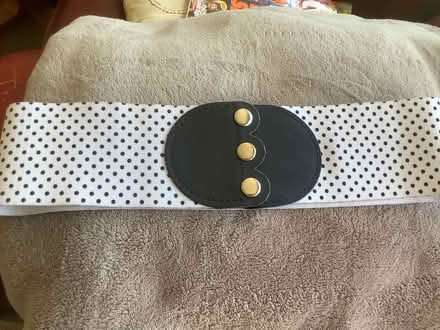 Photo of free Belt (TA6) #1