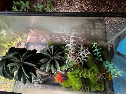 Photo of free Aquarium with assorted decor (Wagner Rd and Miller Rd) #1