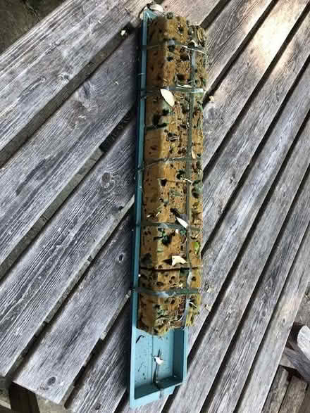 Photo of free Oasis and tray (Meads BN20) #1