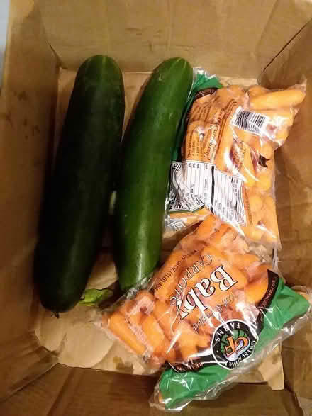 Photo of free Cucumbers, banana peppers, carrots (Sharon hill, PA) #1