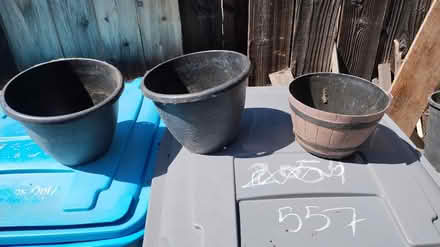 Photo of free Plastic Plant Pots (Vacaville) #1