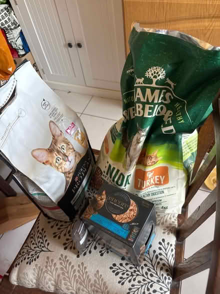 Photo of free Adult cat food (Limehouse E1) #1