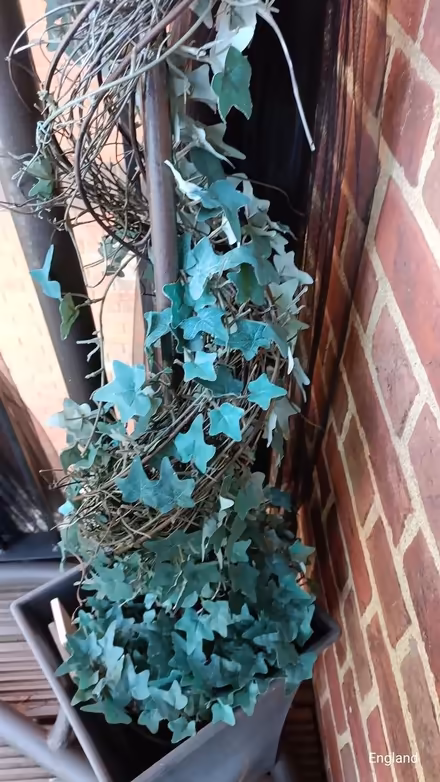 Photo of free Fake ivy in planters x2 (B64, Cradley Heath) #1