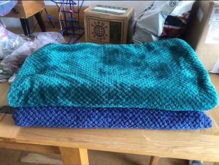 Photo of free Blankets x 2 (Cheshunt En8) #1
