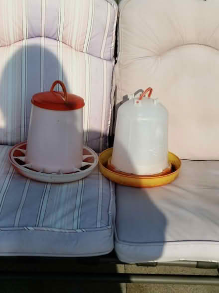 Photo of free animal feeder, dog lead, Boxes (Robin Hood WF3) #1