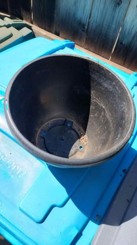 Photo of free Plastic Plant Pots (Vacaville) #2