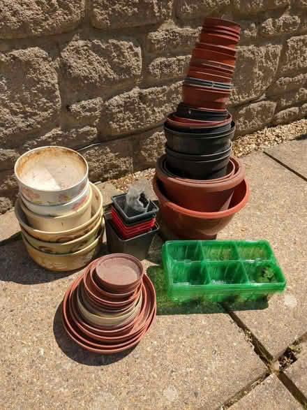 Photo of free Various plant pots and trays (Portesham, DT3) #1
